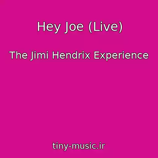 کاور آهنگ Hey Joe (Live) از The Jimi Hendrix Experience