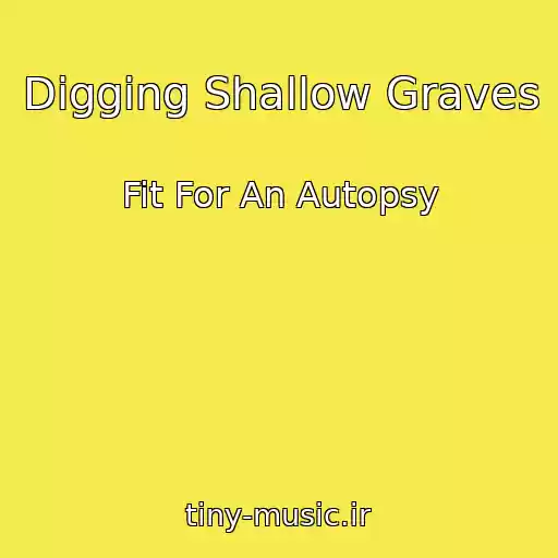 کاور آهنگ Digging Shallow Graves از Fit For An Autopsy