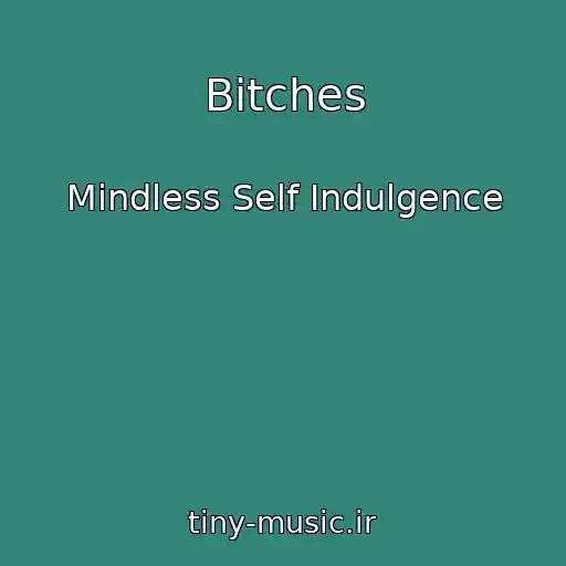 کاور آهنگ Bitches از Mindless Self Indulgence