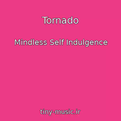 کاور آهنگ Tornado از Mindless Self Indulgence