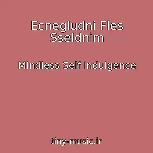 کاور آهنگ Ecnegludni Fles Sseldnim از Mindless Self Indulgence