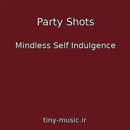 کاور آهنگ Party Shots از Mindless Self Indulgence