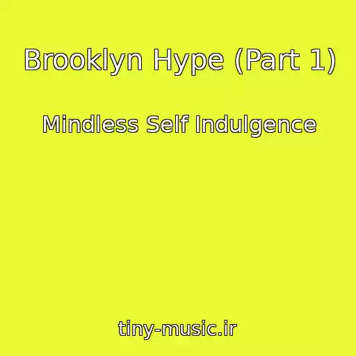 کاور آهنگ Brooklyn Hype (Part 1) از Mindless Self Indulgence