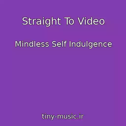 کاور آهنگ Straight To Video از Mindless Self Indulgence