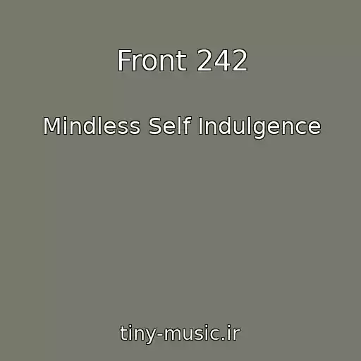 کاور آهنگ Front 242 از Mindless Self Indulgence