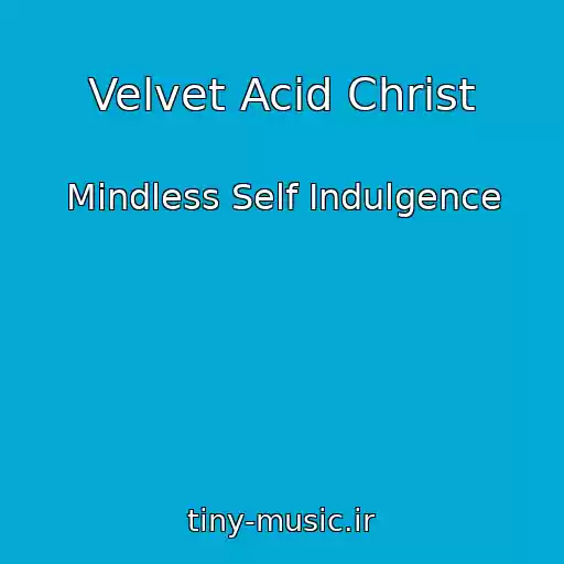 کاور آهنگ Velvet Acid Christ از Mindless Self Indulgence