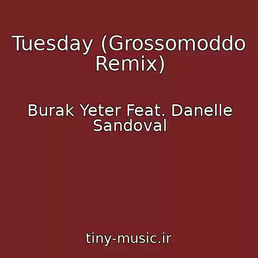 کاور آهنگ Tuesday (Grossomoddo Remix) از Burak Yeter Feat. Danelle Sandoval