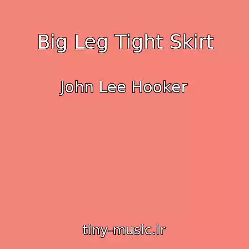 کاور آهنگ Big Leg Tight Skirt از John Lee Hooker