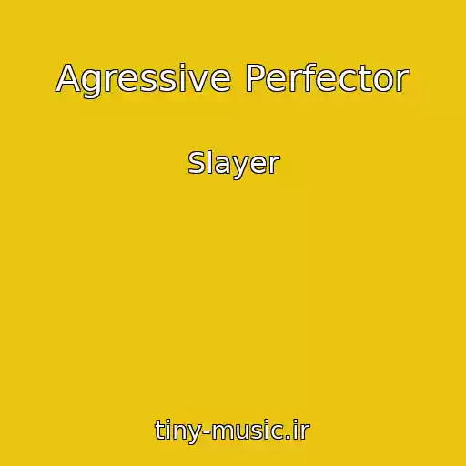 کاور آهنگ Agressive Perfector از Slayer