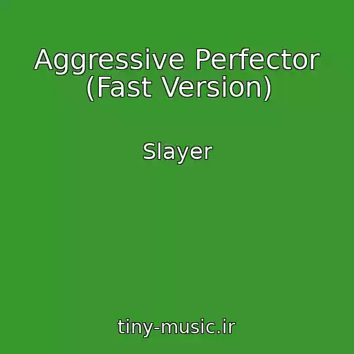 کاور آهنگ Aggressive Perfector (Fast Version) از Slayer