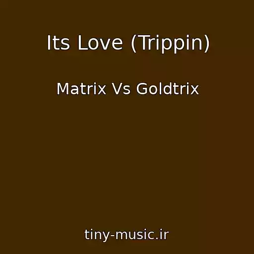 کاور آهنگ Its Love (Trippin) از Matrix Vs Goldtrix
