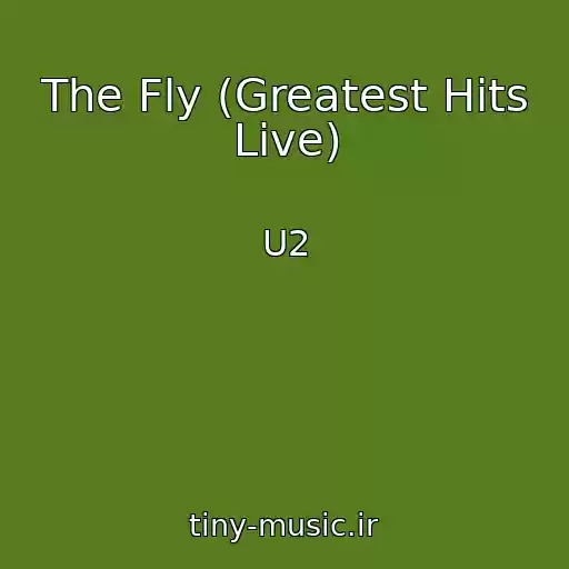 کاور آهنگ The Fly (Greatest Hits Live) از U2