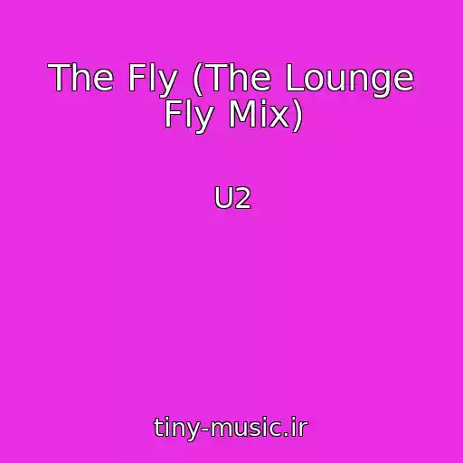 کاور آهنگ The Fly (The Lounge Fly Mix) از U2