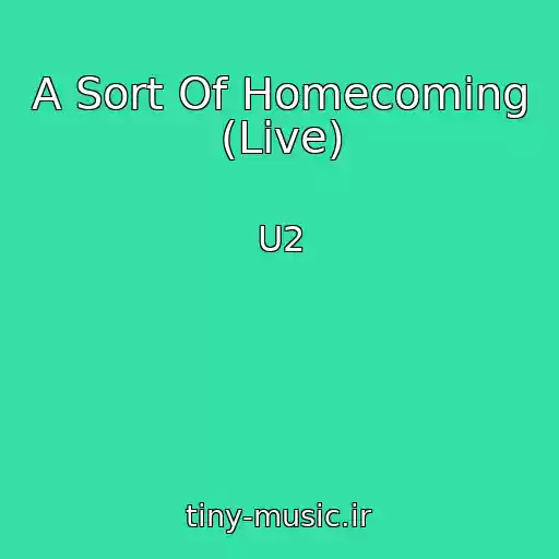 کاور آهنگ A Sort Of Homecoming (Live) از U2