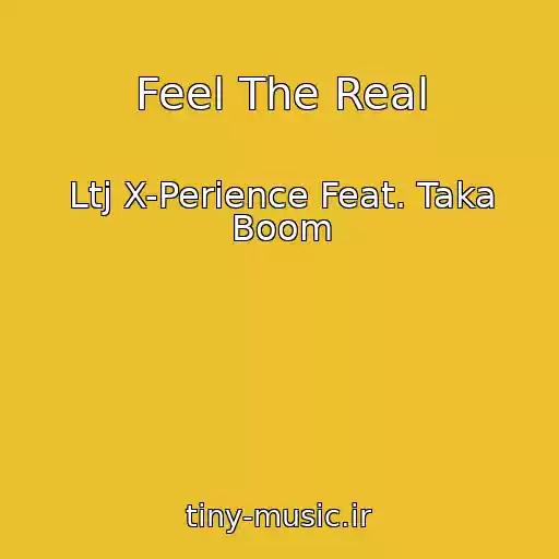کاور آهنگ Feel The Real از Ltj X-Perience Feat. Taka Boom