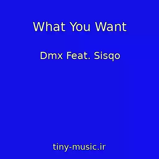کاور آهنگ What You Want از Dmx Feat. Sisqo