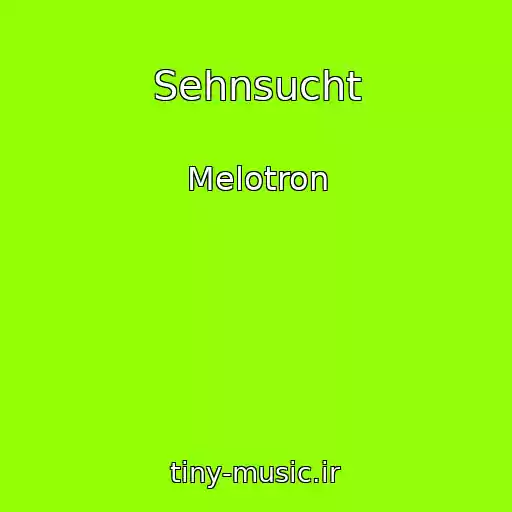کاور آهنگ Sehnsucht از Melotron