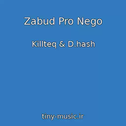 کاور آهنگ Zabud Pro Nego از Killteq & D.hash