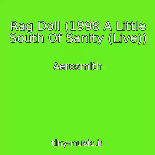 کاور آهنگ Rag Doll (1998 A Little South Of Sanity (Live)) از Aerosmith