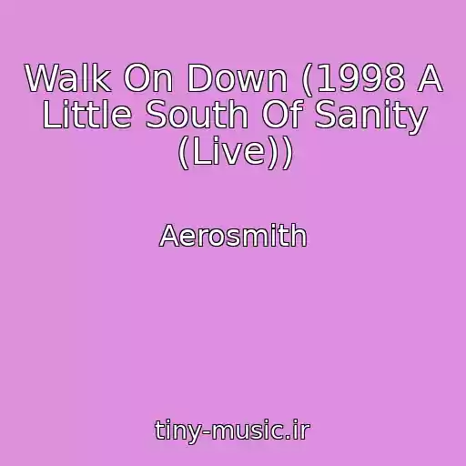 کاور آهنگ Walk On Down (1998 A Little South Of Sanity (Live)) از Aerosmith