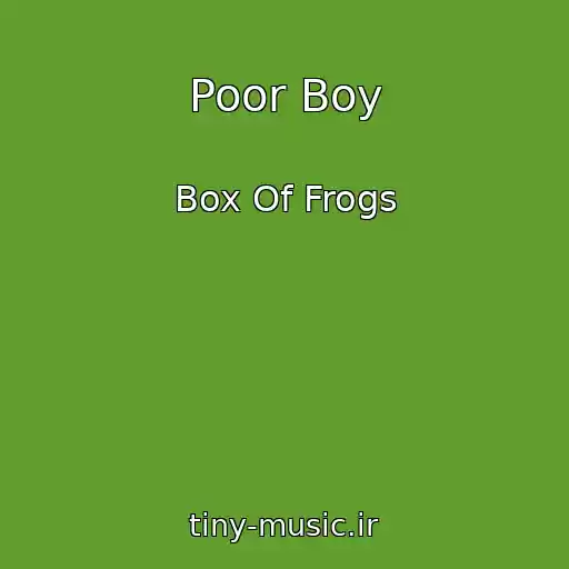 کاور آهنگ Poor Boy از Box Of Frogs