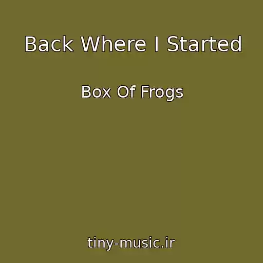 کاور آهنگ Back Where I Started از Box Of Frogs