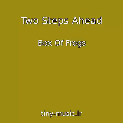 کاور آهنگ Two Steps Ahead از Box Of Frogs