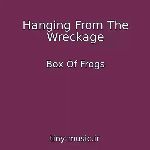 کاور آهنگ Hanging From The Wreckage از Box Of Frogs