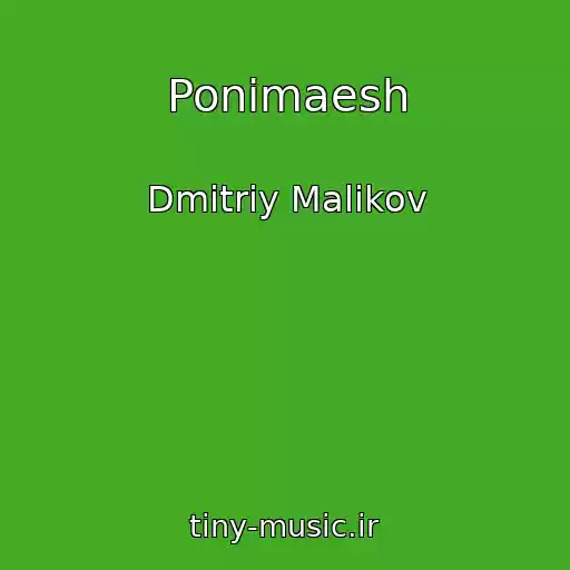 کاور آهنگ Ponimaesh از Dmitriy Malikov