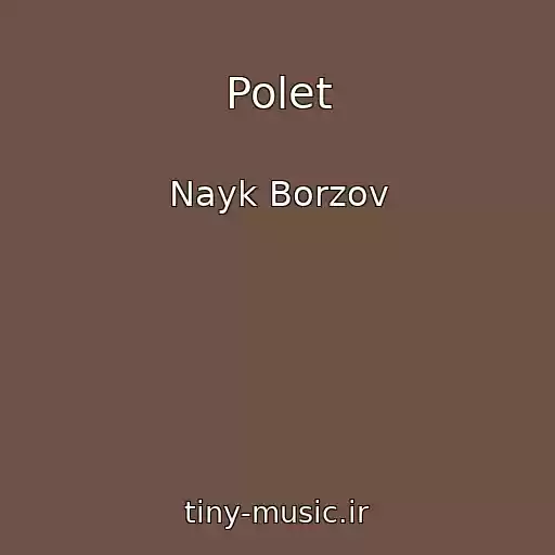 کاور آهنگ Polet از Nayk Borzov