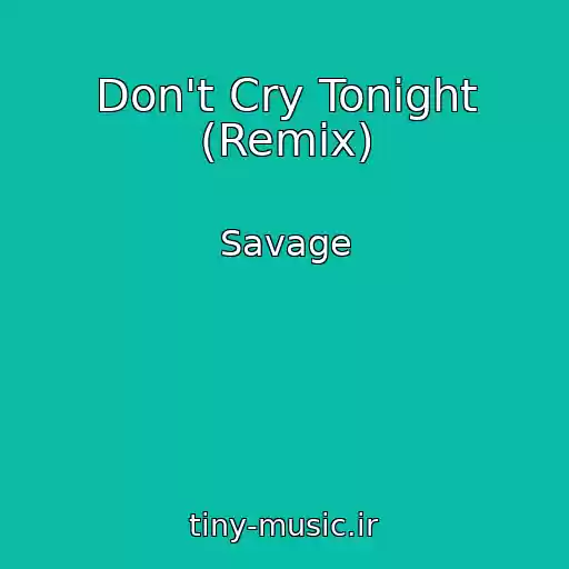 کاور آهنگ Don't Cry Tonight (Remix) از Savage