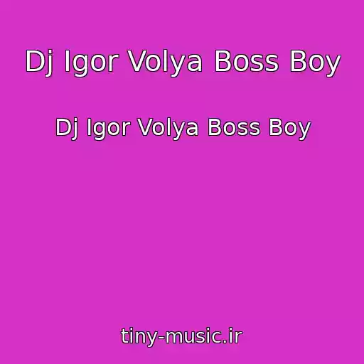 کاور آهنگ Dj Igor Volya Boss Boy از Dj Igor Volya Boss Boy