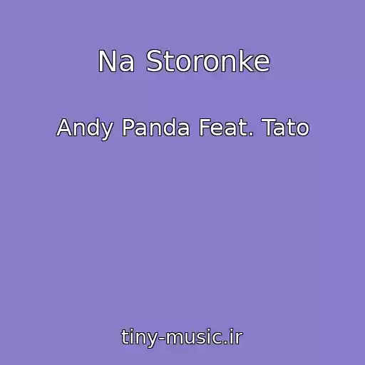 کاور آهنگ Na Storonke از Andy Panda Feat. Tato