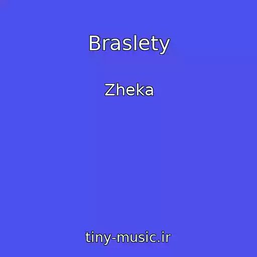 کاور آهنگ Braslety از Zheka
