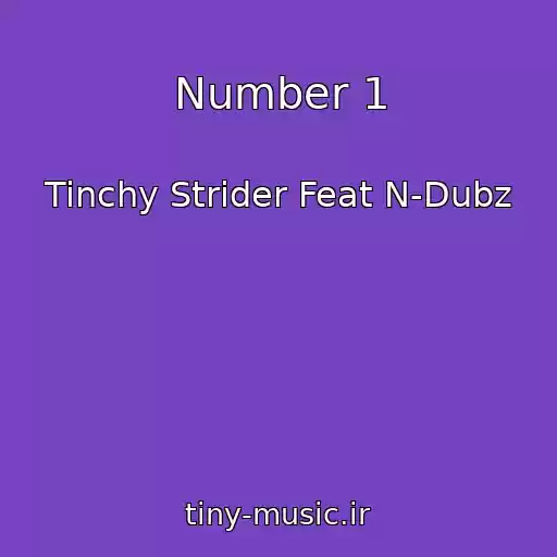 کاور آهنگ Number 1 از Tinchy Strider Feat N-Dubz