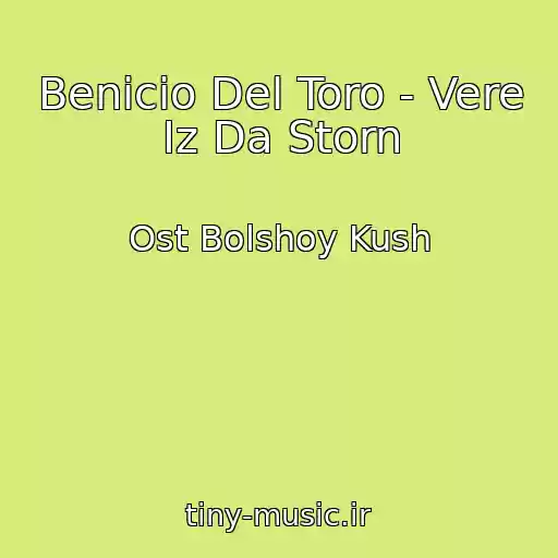 کاور آهنگ Benicio Del Toro - Vere Iz Da Storn از Ost Bolshoy Kush