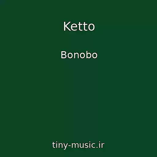 کاور آهنگ Ketto از Bonobo