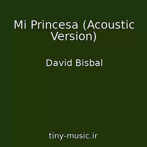 کاور آهنگ Mi Princesa (Acoustic Version) از David Bisbal