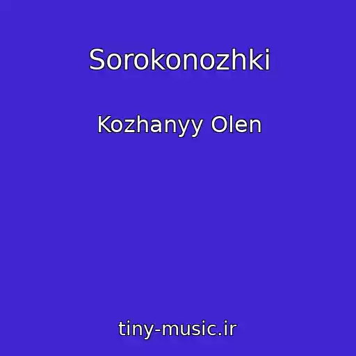 کاور آهنگ Sorokonozhki از Kozhanyy Olen