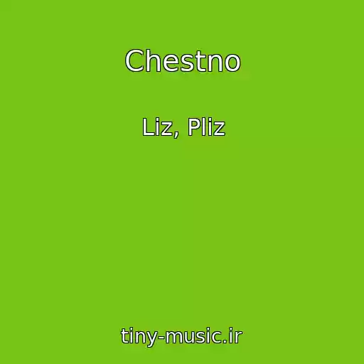 کاور آهنگ Chestno از Liz, Pliz