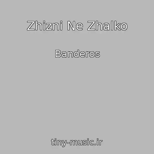 کاور آهنگ Zhizni Ne Zhalko از Banderos