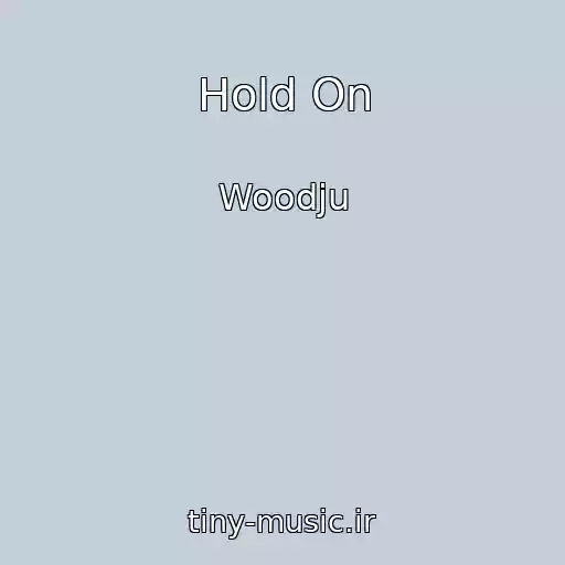 کاور آهنگ Hold On از Woodju