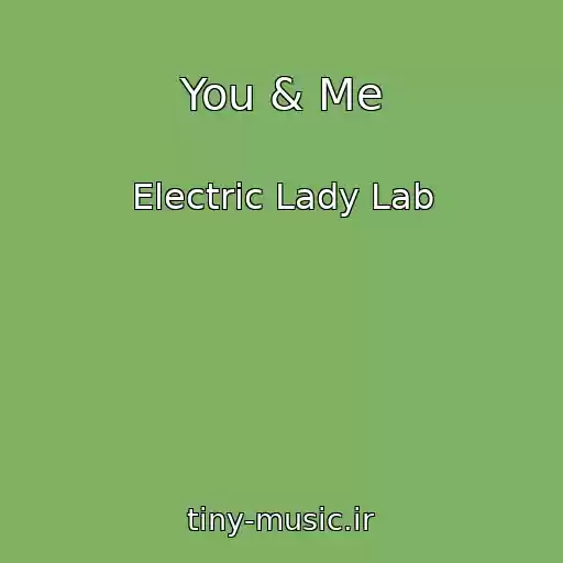 کاور آهنگ You & Me از Electric Lady Lab