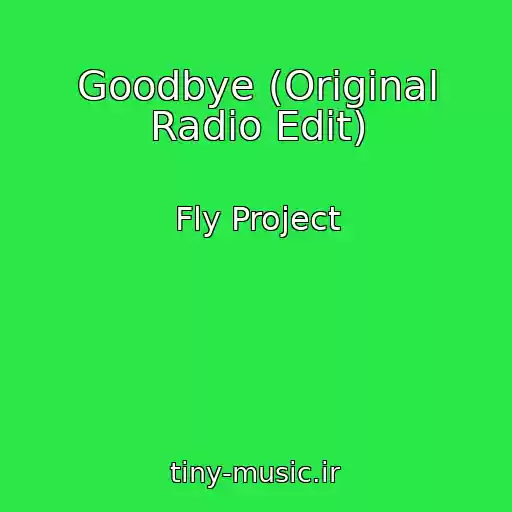 کاور آهنگ Goodbye (Original Radio Edit) از Fly Project