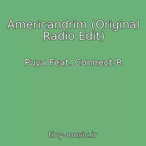 کاور آهنگ Americandrim (Original Radio Edit) از Puya Feat. Connect-R