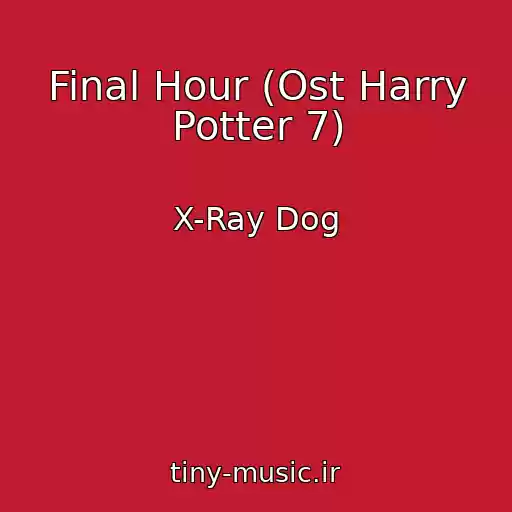کاور آهنگ Final Hour (Ost Harry Potter 7) از X-Ray Dog