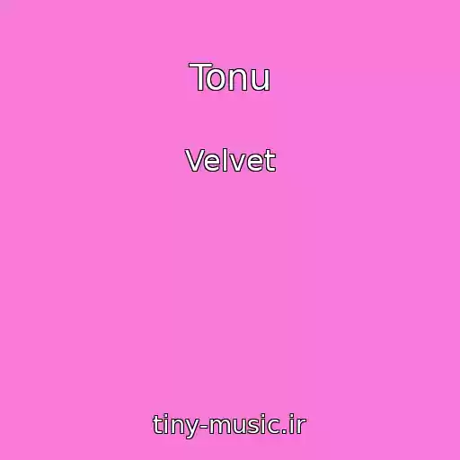 کاور آهنگ Tonu از Velvet