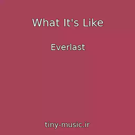 کاور آهنگ What It's Like از Everlast