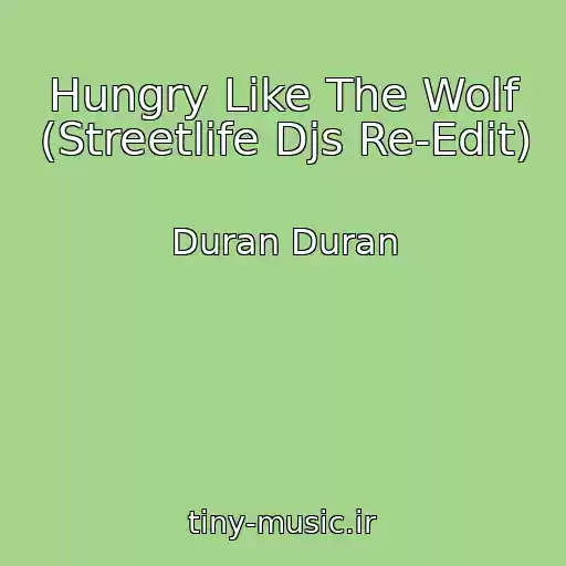 کاور آهنگ Hungry Like The Wolf (Streetlife Djs Re-Edit) از Duran Duran