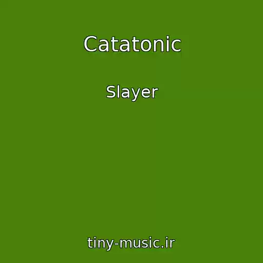 کاور آهنگ Catatonic از Slayer